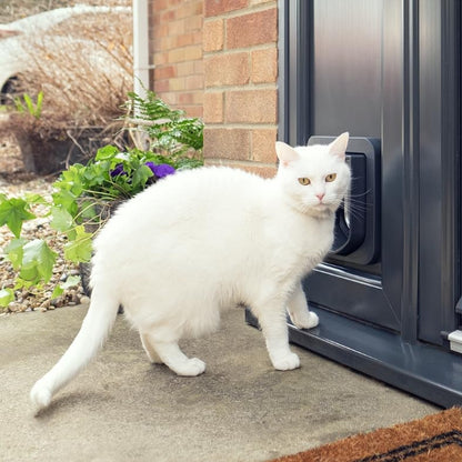 Derë automatike për mace SureFlap Microchip Cat Flap, e bardhë